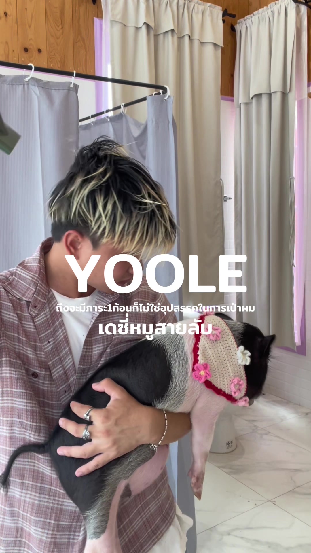 ถ้ายังไม่มีก็จัดไป YOOLE #ไดร์ทเป่าผม #yoole #เดซี่ #เดซี่หมูแคระ #เดซี่หมูสายลับ 
