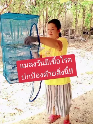 คอนโดตากปลา #คอนโดตากปลา #คอนโดตากอาหาร #คอนโดตากอาหารแห้ง #ที่ตากปลาแบบตาข่าย 