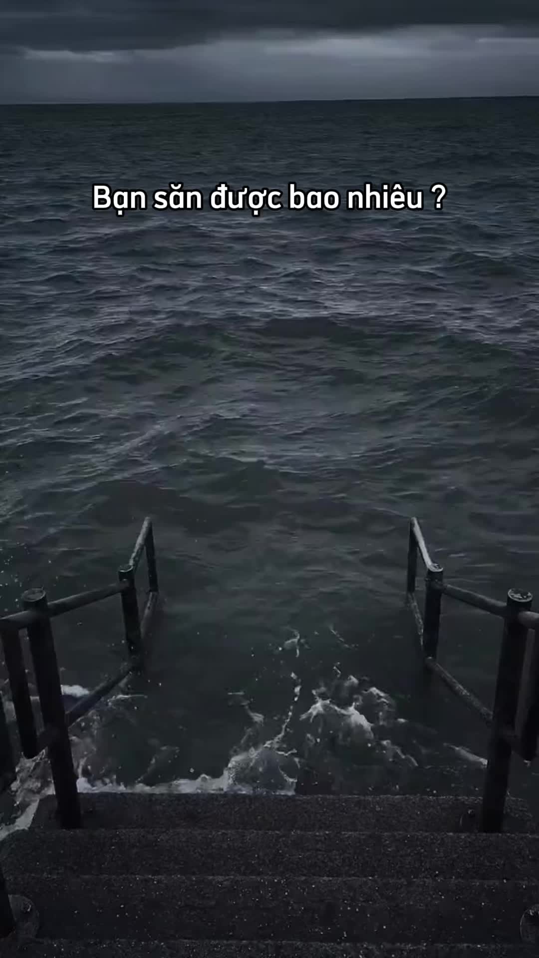 Bạn săn được bao nhiêu #tainghe #tainghebluetooth #tainghekhongday #tainghex55 #tainghengu #xuhuong #xuhuongtiktok #viral #trending 