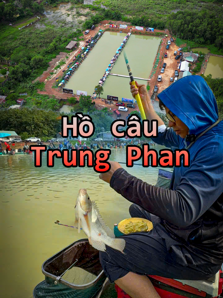 Câu cá rô phi hồ câu Trung Phan - Bình Phước @hnf_review @docaudai.hnf #cauca #caucagiaitri #caucatunhien #caucagiaitri🎣 #caudai #huynhnhanfishing #caucarophi #bottomkhochiu #bottomsieucap #caucachephodichvu