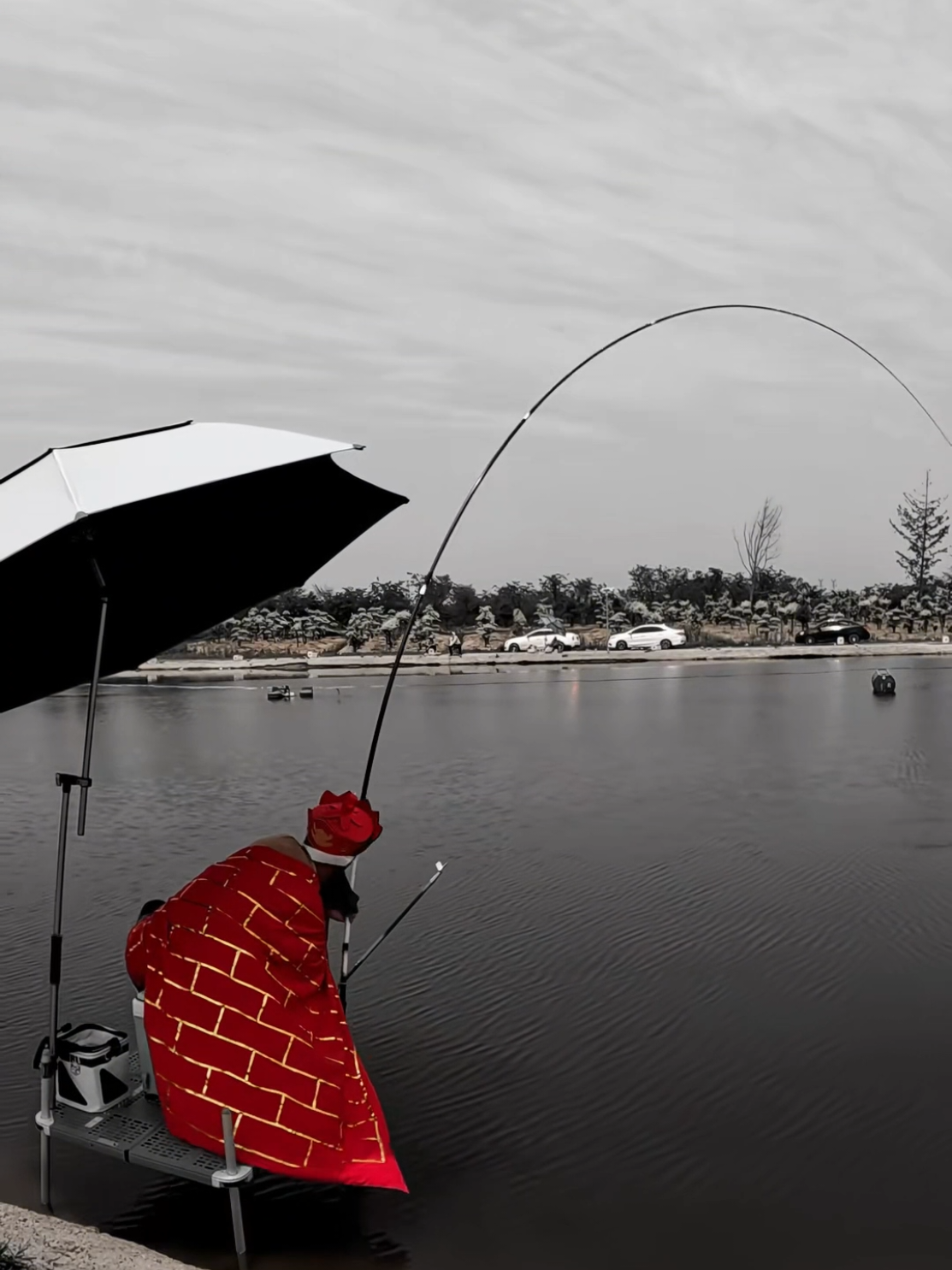 Bần Tăng Không ngán một ai #caudai #caucagiaitri🎣 #gaoruoucauca #caucatunhien #fishing #moicaurophi #moivuotkho #cauca #dongtapcaudai #nguontiktokchina #moicauca #caucachep 