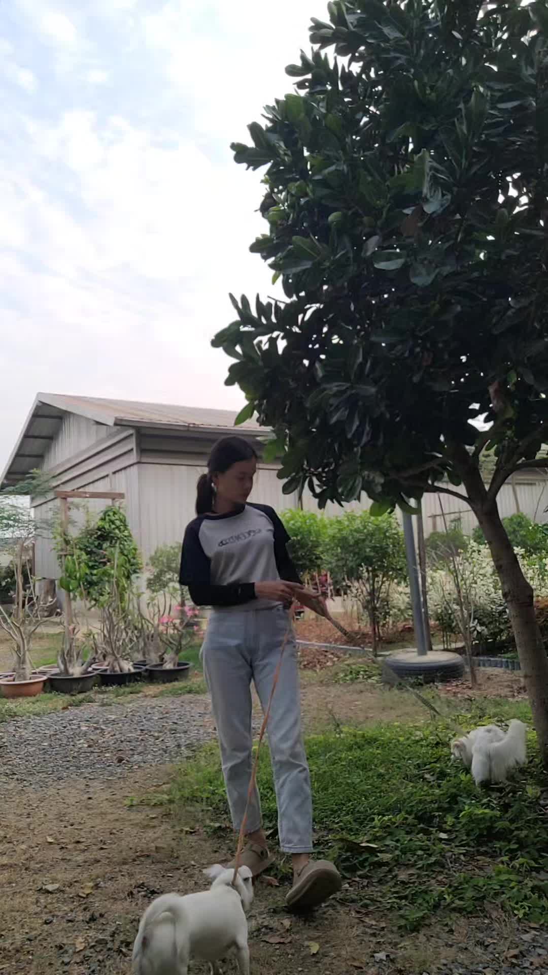 #กะเหรี่ยง 
