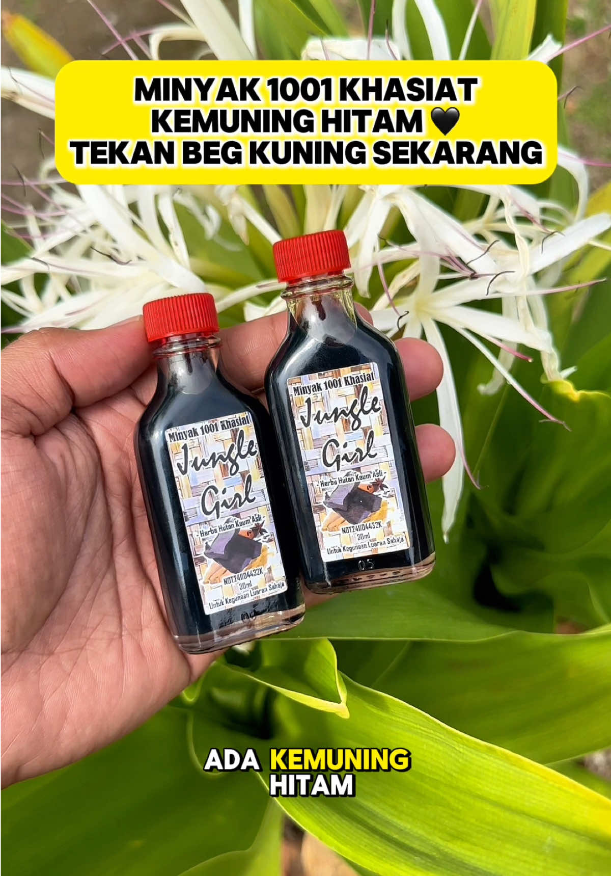 Minyak Kemuning Hitam. 🖤 #junglegirlbeauty #minyak1001khasiat #minyakkemuninghitam 