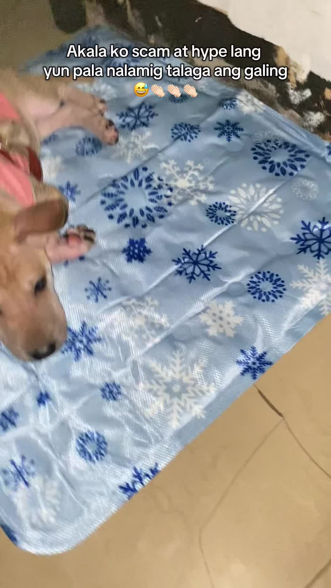 Akala ko di totoo pero nalamig talaga 😅 No aircon ? no problem na kase meron ng cooling pad para sa ating mga furbaby . Bite proof and scratch proof na rin #coolingpad #coolingpadfordogs #fordogs #petsupplies #fypシ゚ 
