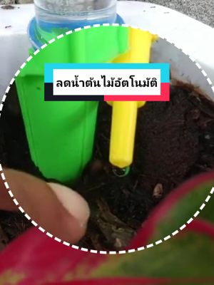 รดน้ำต้นไม้อัตโนมัติ #ที่รดนํ้าต้นไม้🌻🌻  #หัวรดน้ําต้นไม้ #รดน้ําต้นไม้ #หัวหยดน้ํารดต้นไม้อัตโนมัติ 