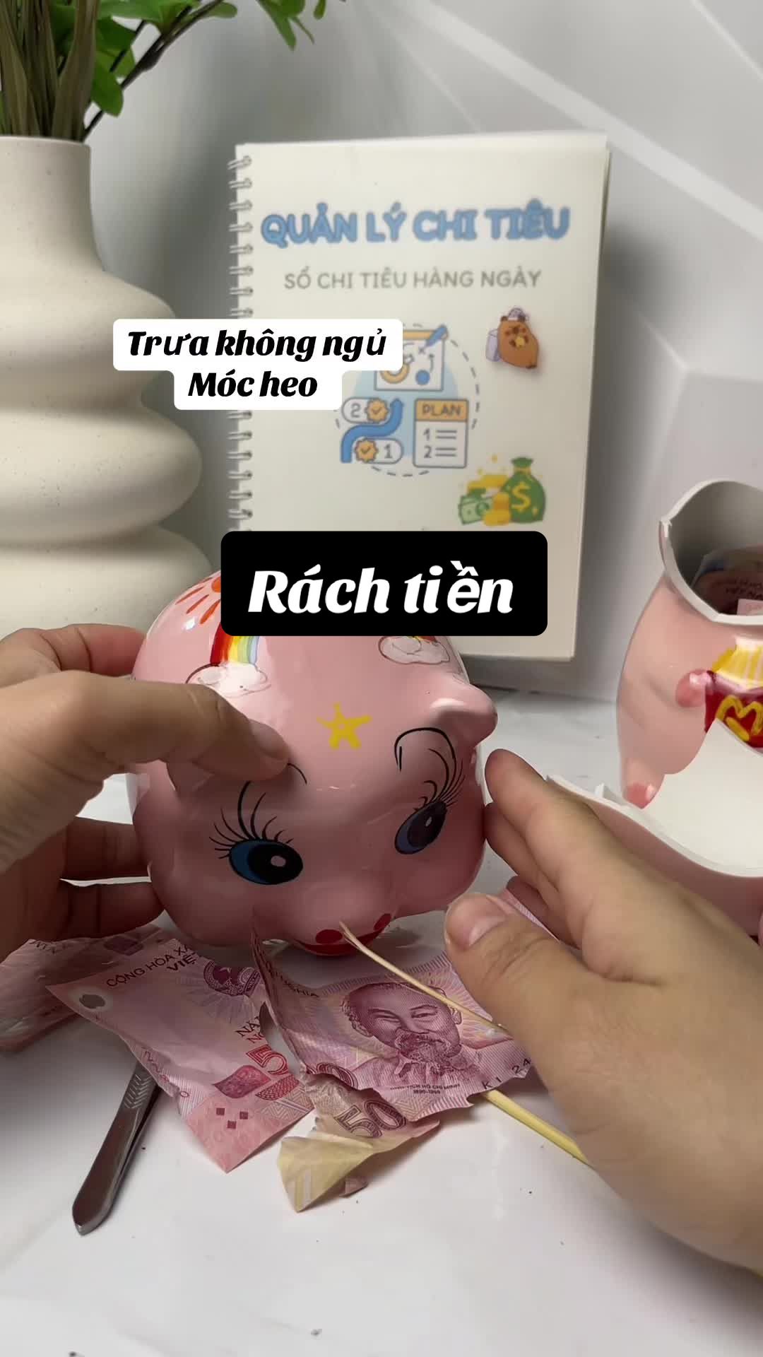 Can tội không ngủ trưa #heoxinhnhaphuong #xuhuongtiktok #heosutietkiem #gomsubattrang #ongheotietkiem 