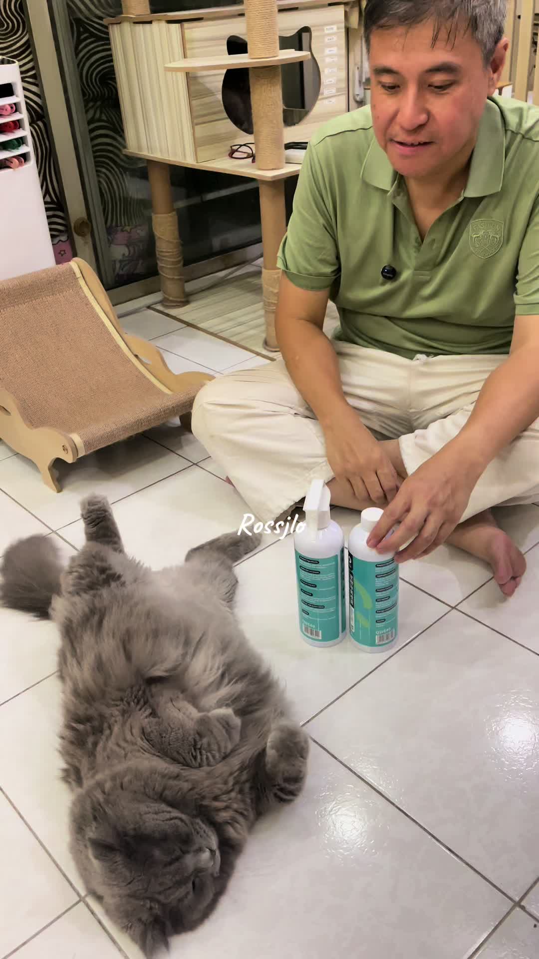 Pet deodorizer #petdeodorizer #petdeodorant #baukucing 