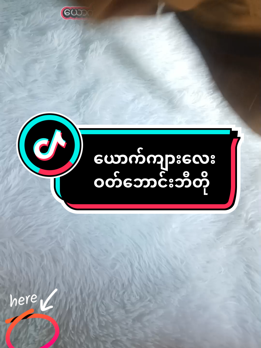 #ယောက်ကျားလေးဝတ်ဘောင်းဘီတို #အိမ်ရောက်ငွေချေရ #ထိုင်းနိုင်ငံနေရာအနှံ့ပို့ပေးပါတယ်ရှင်း #ထိုင်းရောက်ရွှေမြန်မာများအတွက် #စျေးတန်တန်နဲ့ရမယ် #ဝယ်ယူသွားတဲ့တယောက်ချင်စီတိုင်းကျေးဇူတင်ပါတယ်ရှင့် 