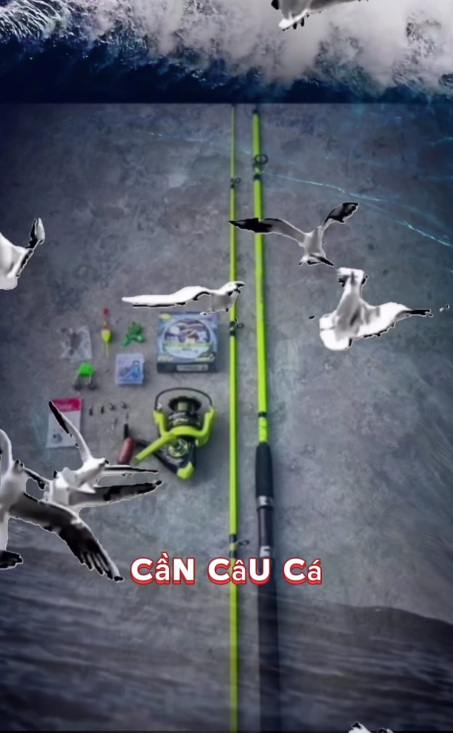 combo cần câu cá giải trí #cancauca #caucagiaitri #miumiu94 #docauca #thethaogiaitri #thểthao #caucathugian #xuhuong #viralvideo #fyp 