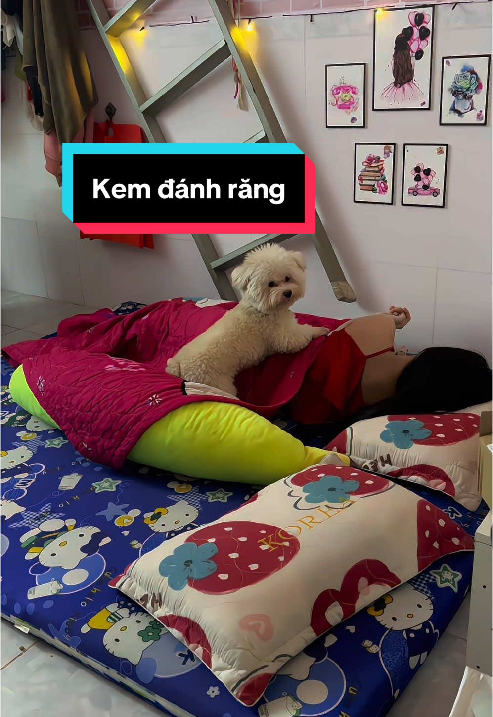 Buổi sáng của cô gái độc thân sắp 22t 🥰🥰#xuhuongtiktok #cuocsongdocthan #betrangg 