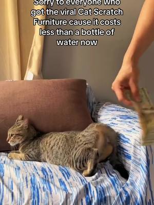 These scratch protection stickers are a life saver!! #catsoftiktok #cat #cats #tiktokshop #catproducts #couch #couchprotector #furniture #scratching #blackfriday #tiktokshopblackfriday #tiktokshopcybermonday #blackfriday #cybermonday