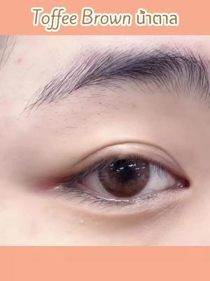 Toffee Brown 14.2mm #Midroo#คอนแทคเลนส์รายเดือน#ค่าสายตาปกติ#คอนแทคเลนส์ขายดี ค่า#