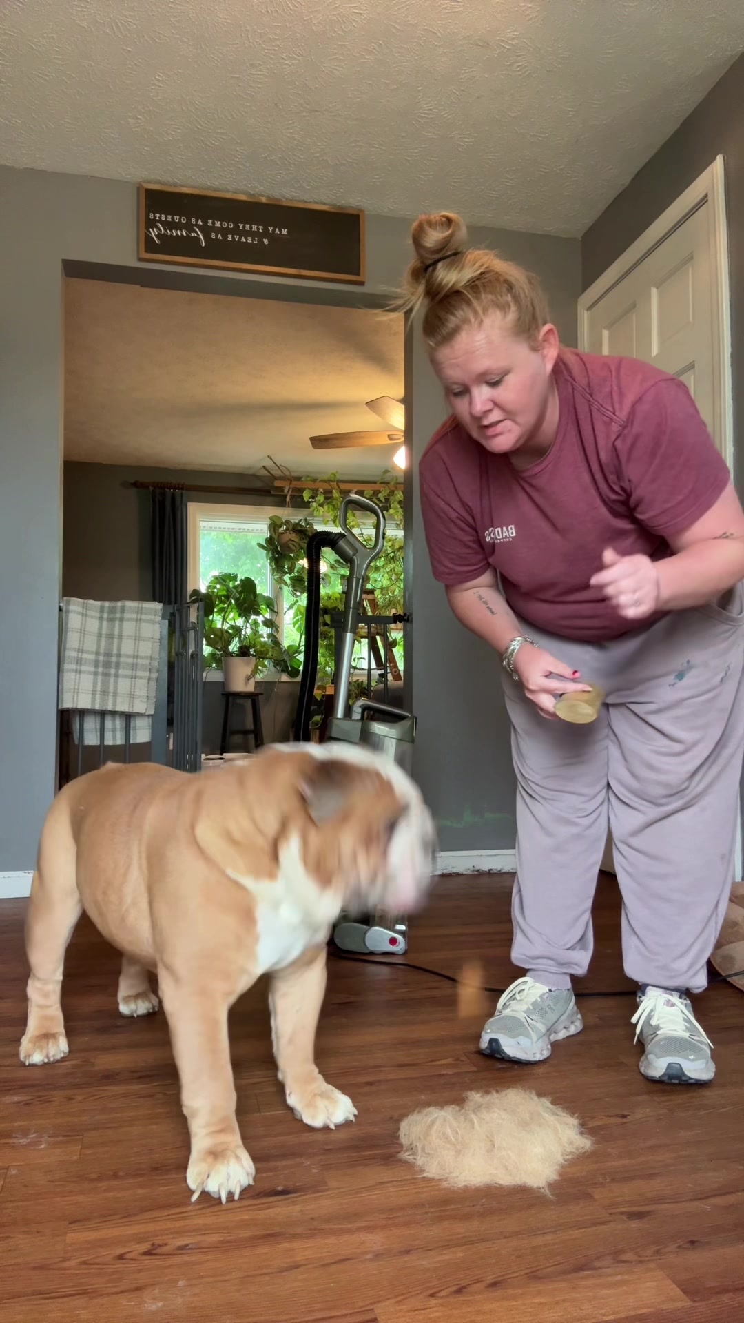 Beautiful view of Thick Hair Clippers For American Bulldogs