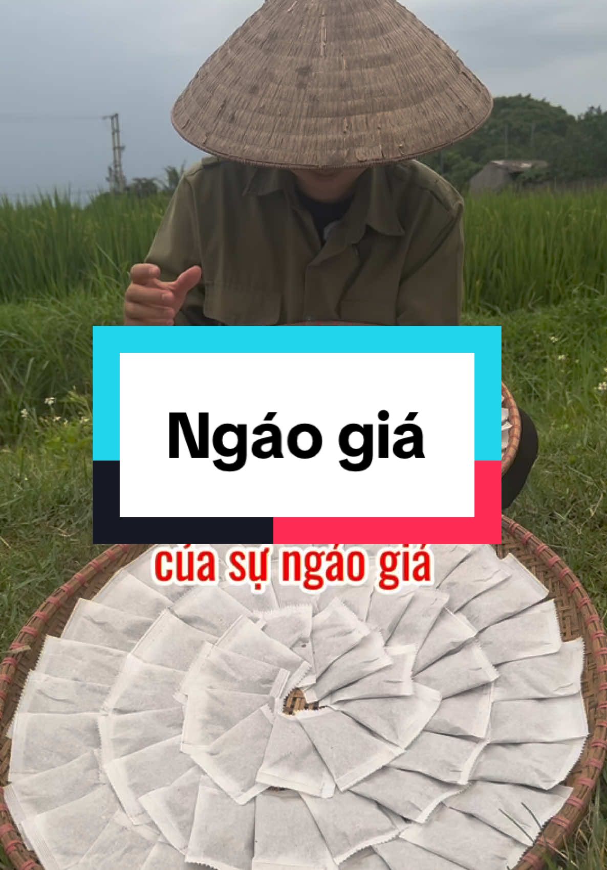 Đỉnh cao của sự ngáo giá #tralanam10vi #tralanam #lanam10vi #thaoduoczone #xuhuonhtiktok 