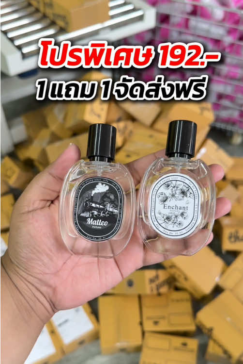 ห้ามพลาด โปรPayday!! #น้ําหอมผู้หญิงenchant #น้ําหอมmatteo #TikTokShopช้อปกันวันเงินออก #ช้อปกันวันเงินออก 