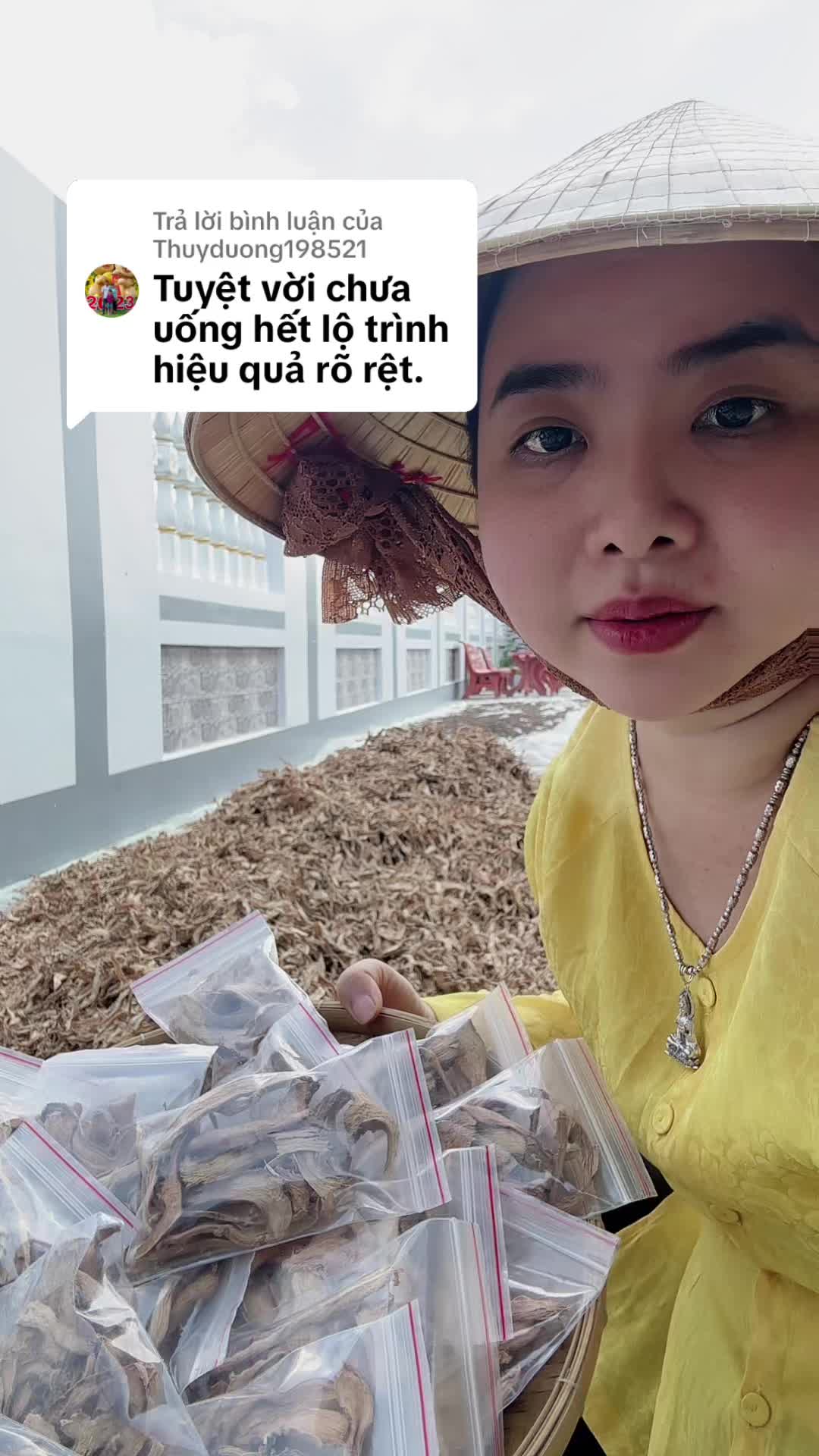Trả lời @Thuyduong198521 Trà củ cát lòi phơi khô #baithuochaymoingay #viemphukhoa 