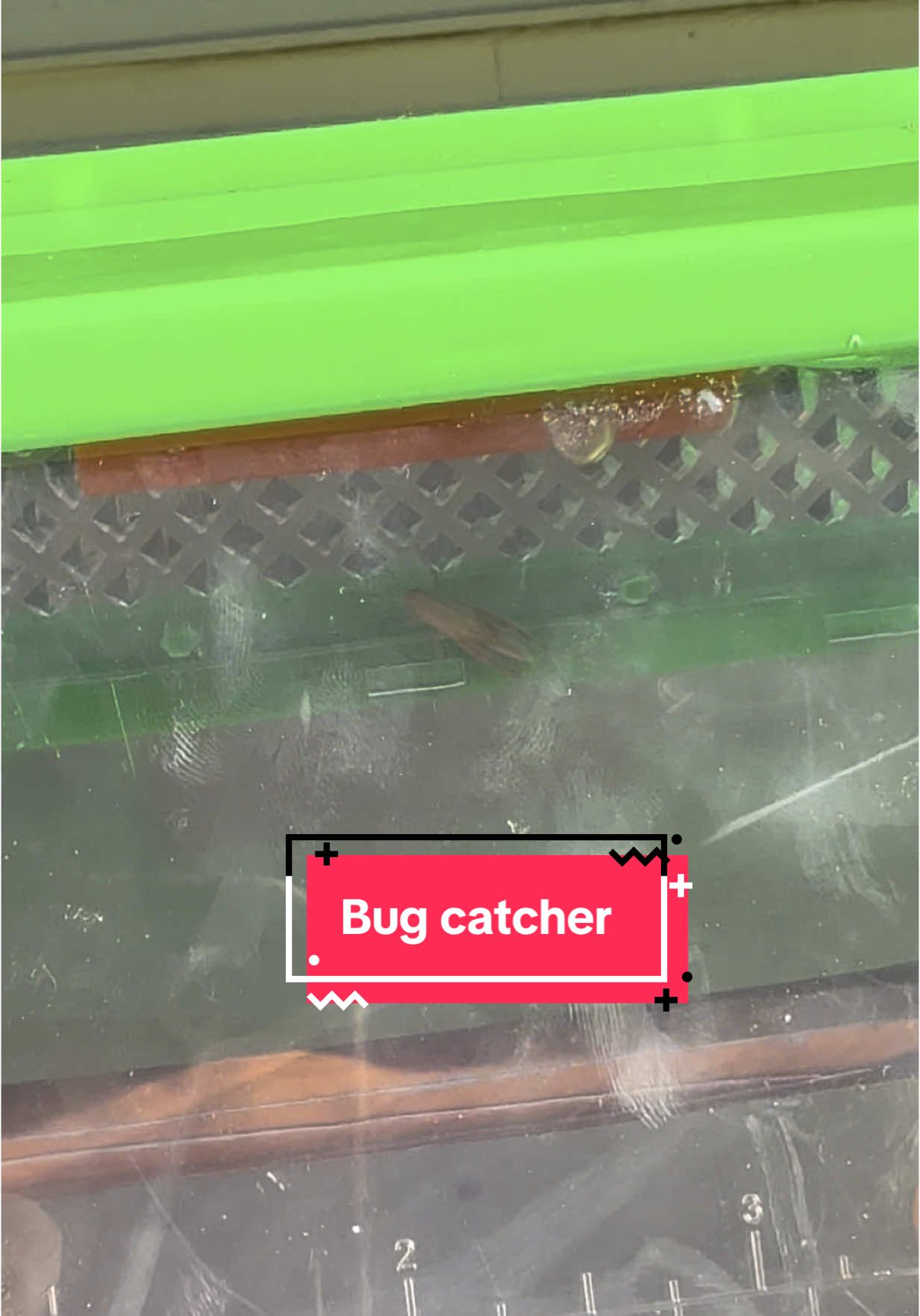 To purchase Thin Air Brands Nature Bound Bug Catcher Toy, Bug Vacuum for Kids, Catch and Release Indoor/Outdoor Play, Patented Bug-Safe Design click on the shopping cart 