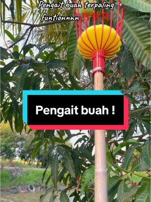 HAHA AKU DAH TAKPAYAH JADI MONYET PANJAT Pokok semata ii nak amek buah pelam depan rumah‼️ funtion sangatlaaa benda ni😆 #fyppppp 