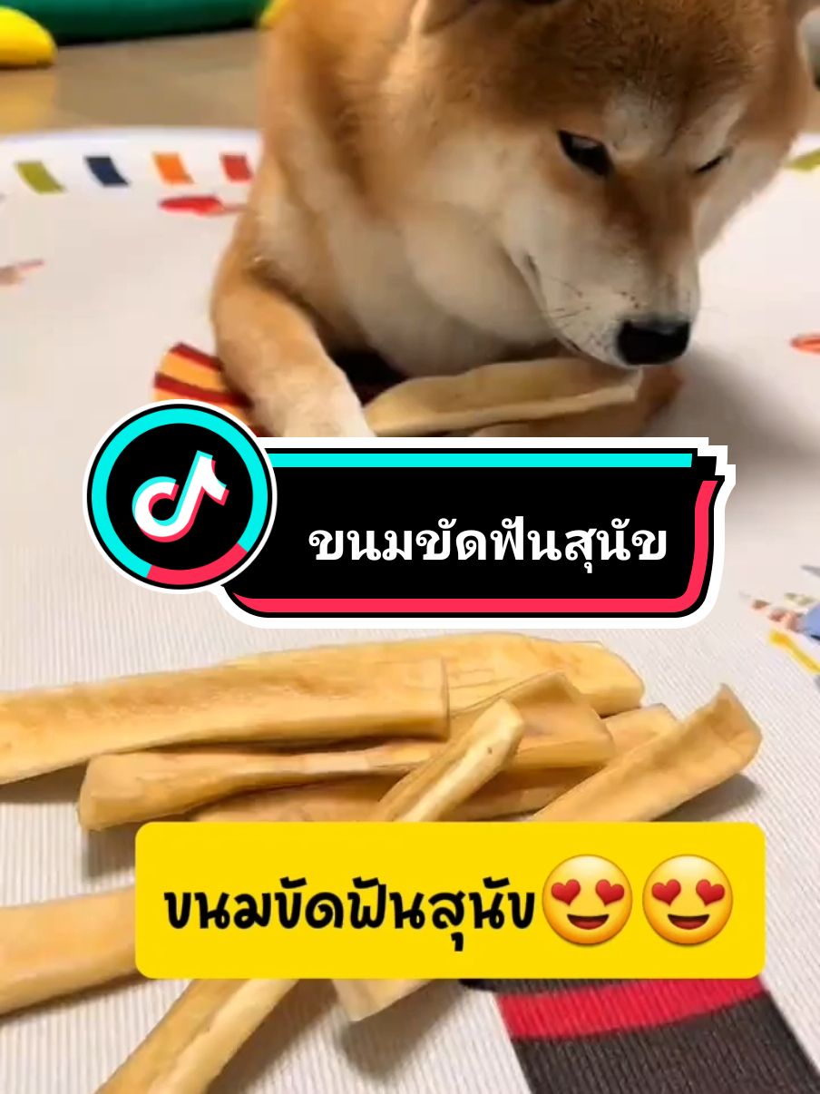 #ขนมขัดฟันสุนัข #ขนมหมา #ขนมสุนัข @ศูนย์รวมสินค้าสัตว์เลี้ยง @ศูนย์รวมสินค้าสัตว์เลี้ยง @ศูนย์รวมสินค้าสัตว์เลี้ยง 