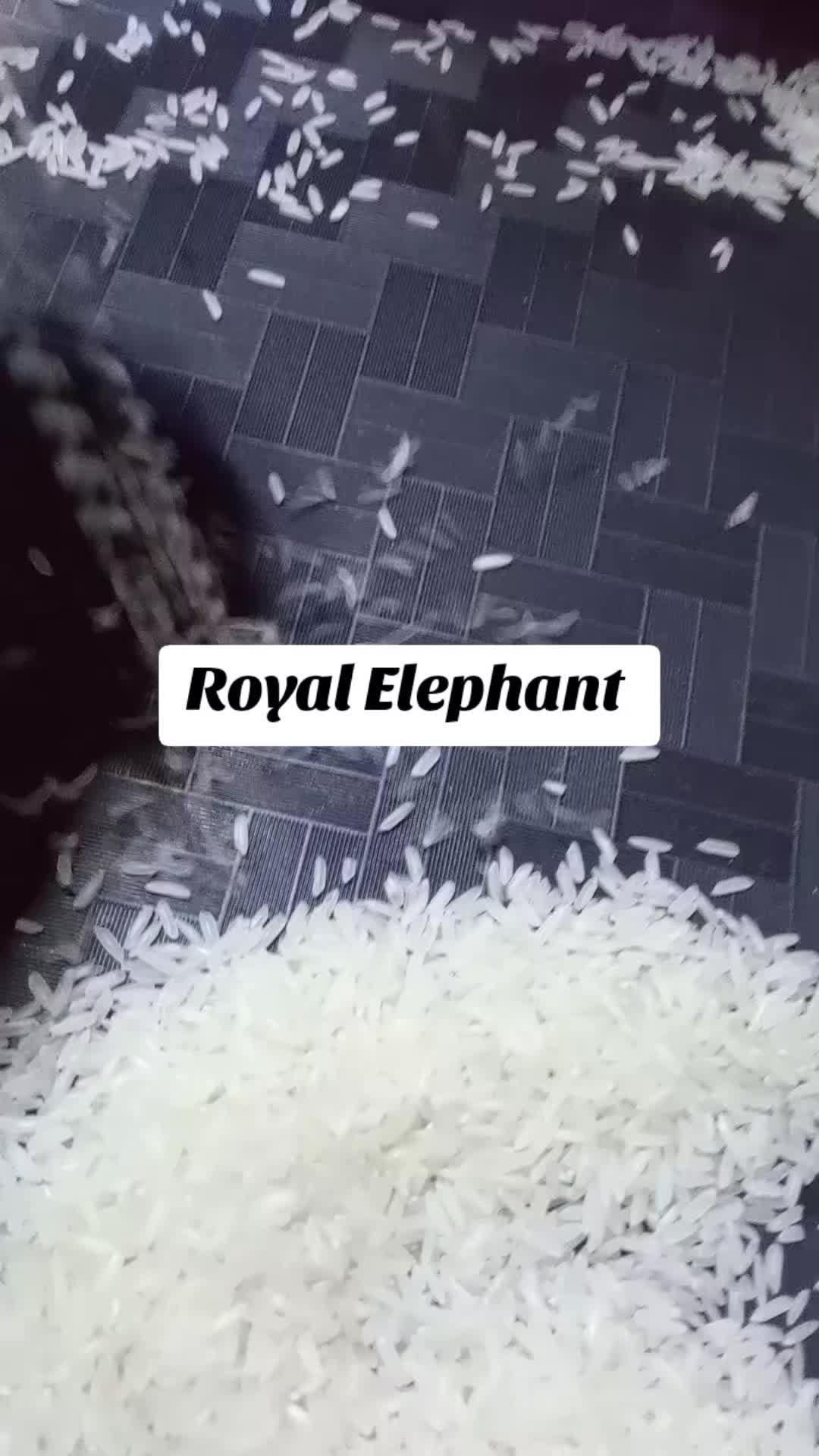 Royal Elephant #food #food 