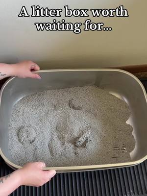 A stainless steel sifter litter box has definitely been worth waiting for 🤗 #cat #catsoftiktok #cattok #litterbox #siftinglitterbox #litterboxcleaning #stainlesssteellitterbox #litterboxhack #litterboxtips #catlitterbox #tiktokshopfinds #spotlightfinds #tiktokshopcreatorpicks #fyp 
