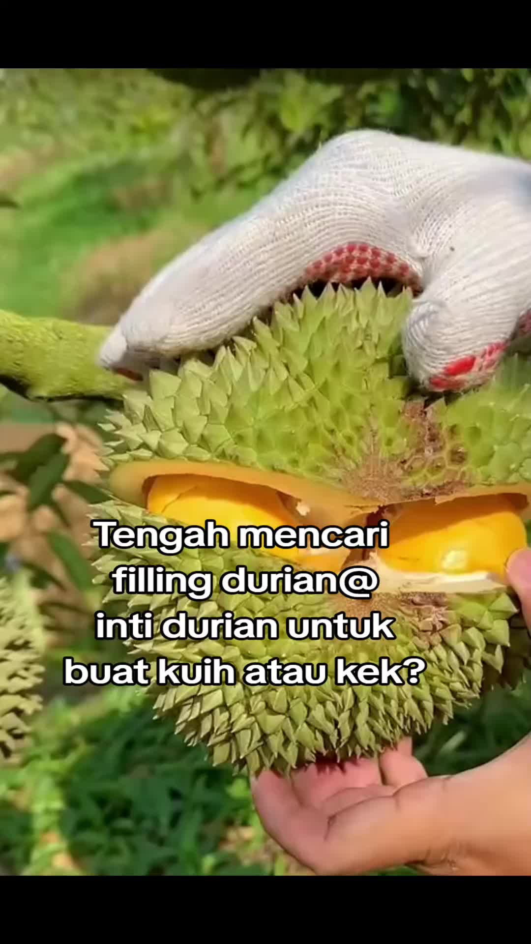 #tiktokshoppingpayday #video #racuntiktok #viral #racuntiktok #viral #tiktokviral #vivo5g #passyourwavytalk #viralvideo #viralvideo 
