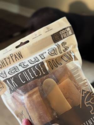 My first babies deserve fancy, quality treats too! . . #mightypaw #mightpawtreats #dogtreats #simpledogtreats