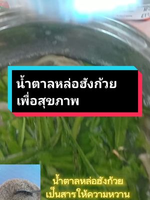 #เทรนด์วันนี้ #น้ําตาลหล่อฮังก๋วย #น้ําตาลหล่อฮังก้วย #กลมกล่อมด้วยน้ําตาลหล่อฮังก้วย #น้ําตาลหล่อฮังก๊วย #กินกับtiktok #ครัวtiktok #ห้องครัวtiktok #tiktokพากิน #ครัวtiktokพาชิม #tiktok @ตูนนี่ ชอบรีวิวของกินอร่อย @ตูนนี่ ชอบรีวิวของกินอร่อย @ตูนนี่ ชอบรีวิวของกินอร่อย #ตูนนี่รีวิวของกินอร่อย 