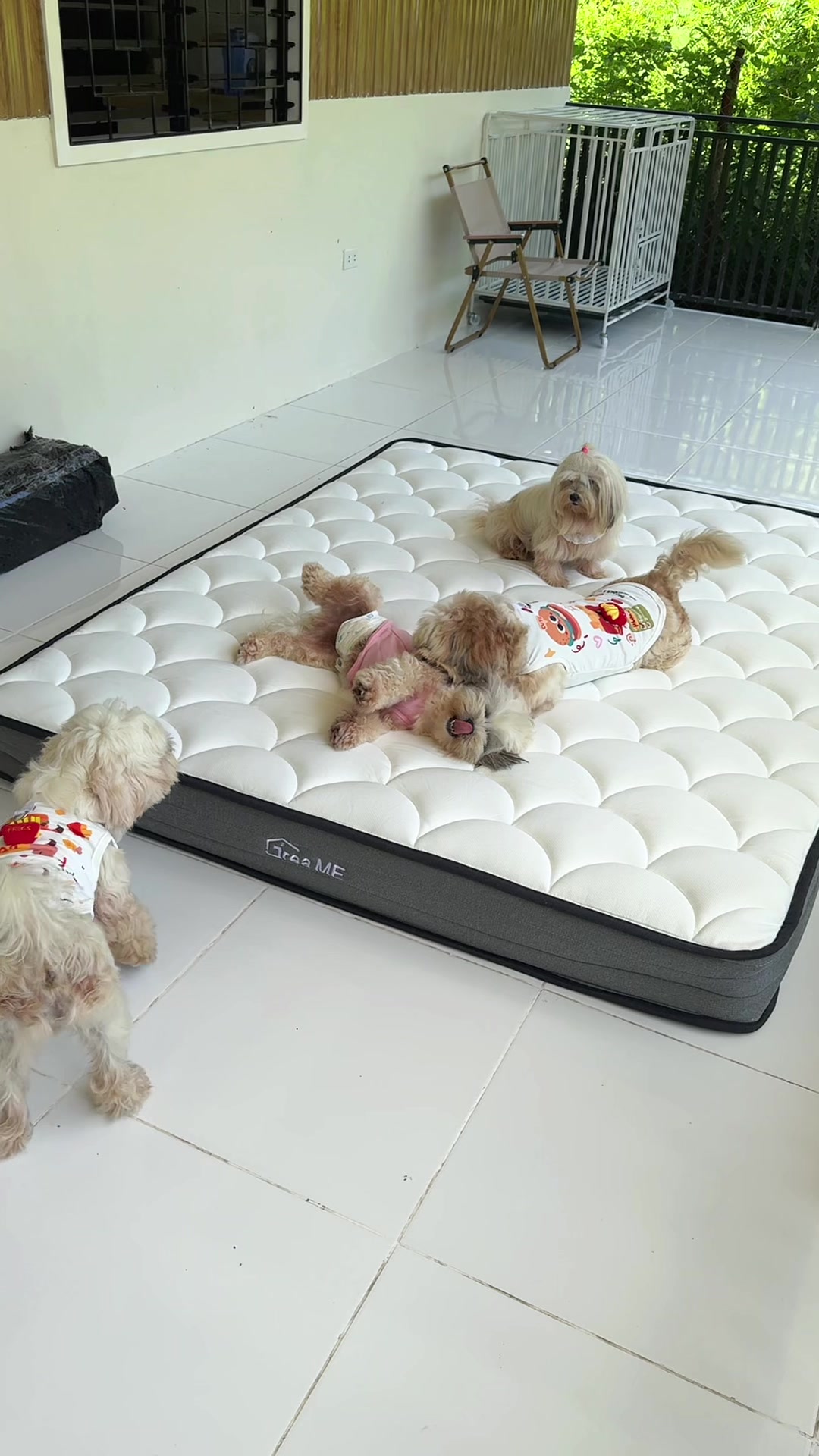 Cloud Memory Spring Mattress from @YOZOTO (sister company ng @DreameOfficialstore ) para kang batang makulit🫶 #springmattress #mattress #memoryfoam 