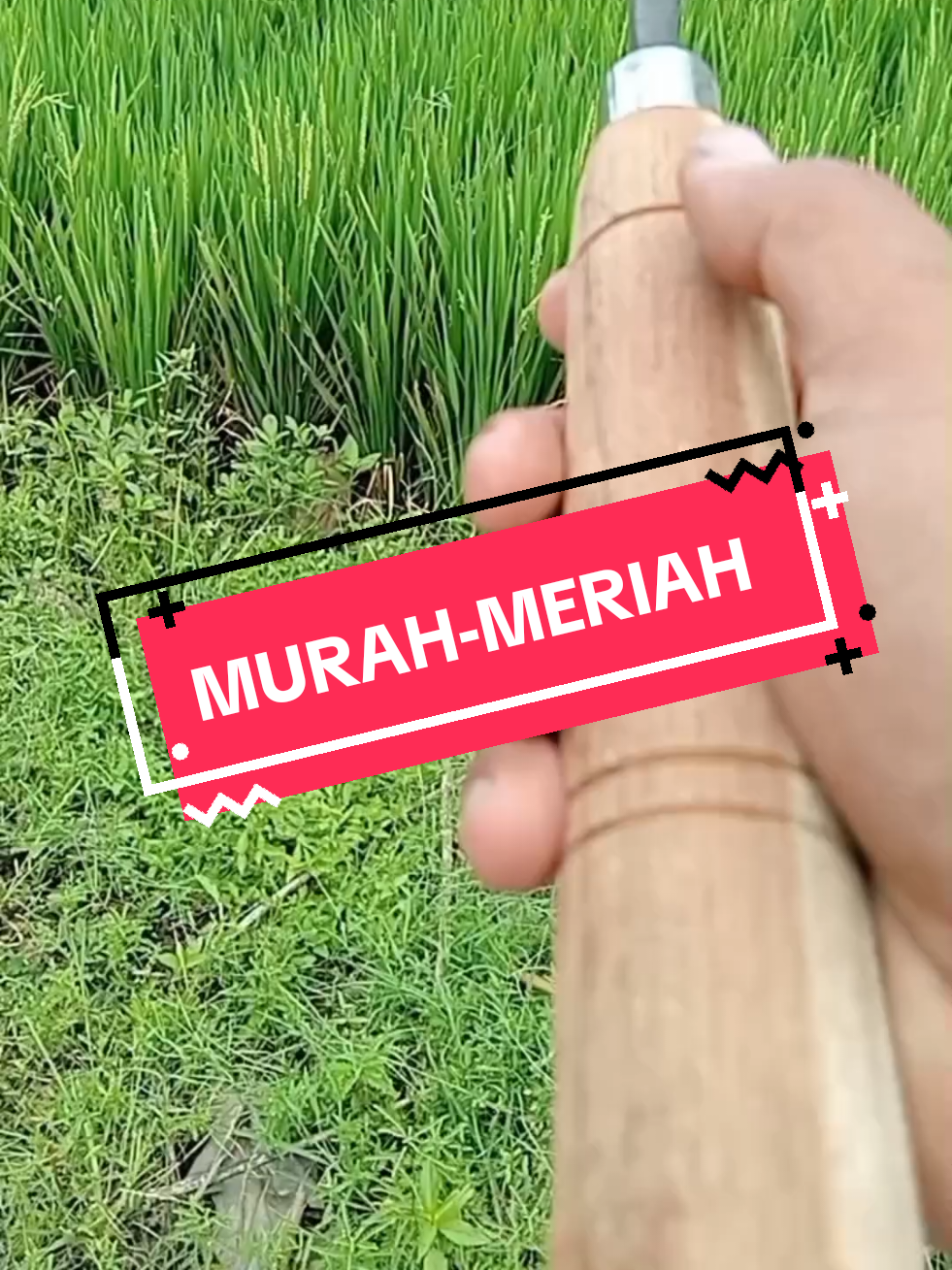#wangkil #cangkulmini #wangkilmini #kored #wangkilmiring #taman #kebun #fyp 