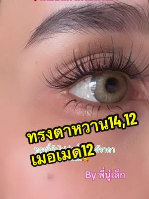 เพียงแค่มีขนตา ทรงหวานเบอร์14,12 เมอเมด12 ก็ต่อทรงนี้ได้แล้ว💋#ต่อขนตาถาวรด้วยตัวเองทําง่ายๆได้ที่บ้าน #ต่อขนตา #พี่นู๋เล็กขนตาแซ่บ 