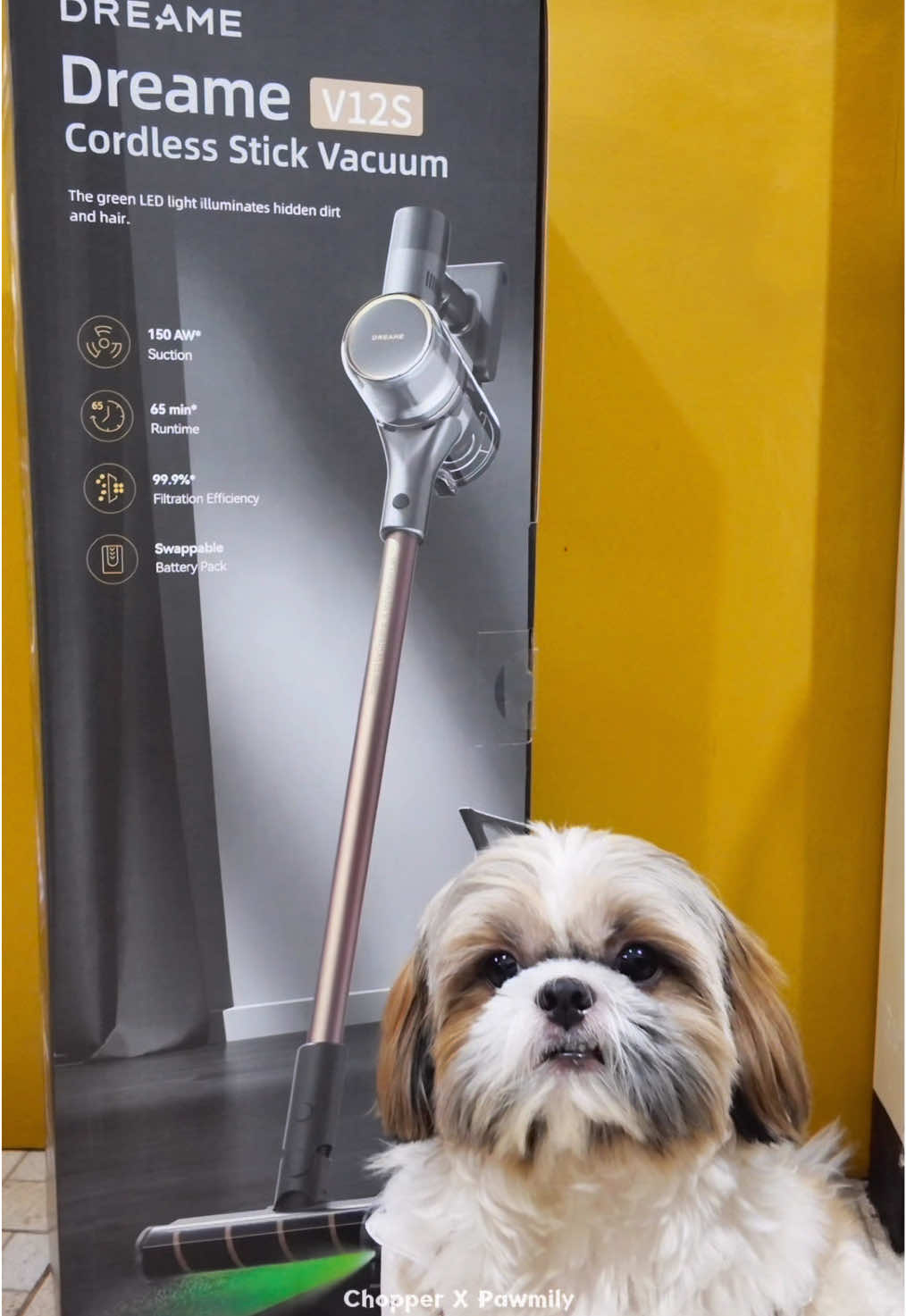Vacuum na hindi lang aesthetic, kundi sobrang dami mapag gagamitan plus may mite removal cleaner na din ! 🥰  @Dreame Ph  #dreame #dreameph #cordlessvacuum #vacuumcleaner #mydreamehouse #dreamv12s #dreamv12scordlessvacuum #dogsoftiktok 