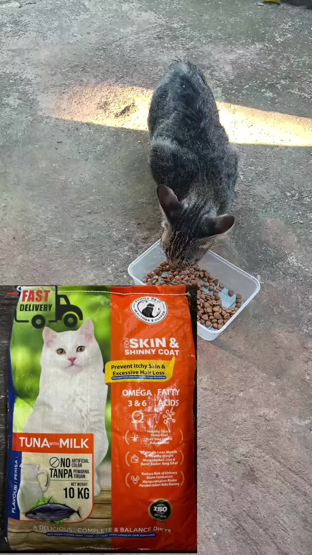 #catfood #tuna #milk #kayaprotein #untukkulit #bulucantik #makanankucing 