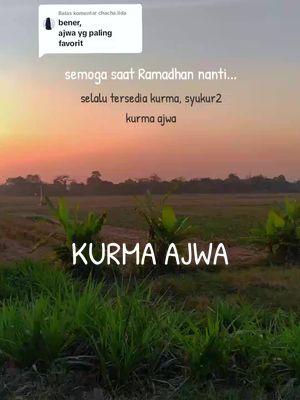 Membalas @chacha.lida kurma ajwa asli kurma nabi original 7 butir cuma 20ribuan #RamadanEkstraSeru  #kurmaajwa #kurmanabi #kurmaajwapremium #kurmaajwamurah 