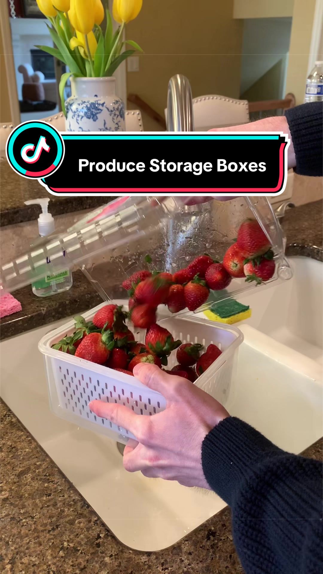 Waste way less food & money! How to keep your produce actually fresh 🍓🫐! #fruitstorage #producestorage #freshfruit #fridgeorganization #freshproduce 