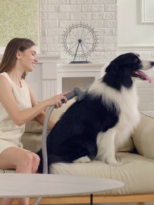 Love the pet, not the mess 🐾💕 This vacuum changed our life — no more fur everywhere, just clean cuddles. ✨ #flexispot #petlife #FurFreeHome #PetVacuum #CleanHome #PetParents #DogMomLife #PetCleaning #PetTok #TikTokMadeMeBuyIt