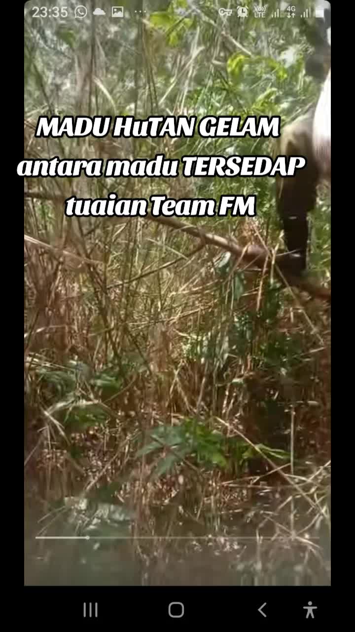 NAK MADU TERSEDAP DARIPADA FADLI MALIKI?CUBA TRY MADU HUTAN GELAM NI TENGOK CAMANE PERGIII DIAAA.. #madu  #madutualang  #madutualangasli 
