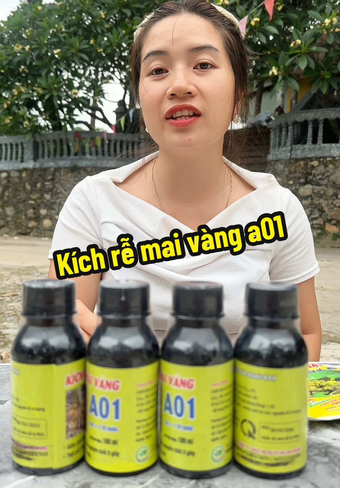 Kích rễ mai vàng a01 trồng cây #trinhlunglinh3 #kichre #kichremaivang #xuhuongtiktok 
