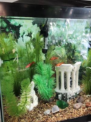 Loving my new aquarium heater! It's so nice to be able to set the temperature digitally with no guessing. I also love how this is made for smaller tanks, the small size of this is just perfect for my 20 gallon tank! Click the link if your aquarium needs a heater! #aquarium #aquariums #fishtank #fishtanks #fishtankheaters #aquariumheater #smallaquarium #fish