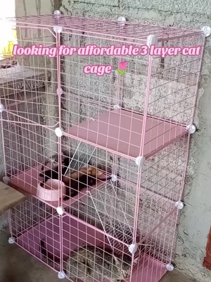 #catcage #3layercatcage #fyp #trendingvideo 