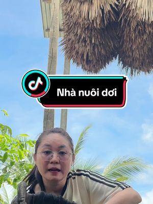 Nhà nuôi dơi và tác dụng từ phân của nó #xuhuong #tothithi18 