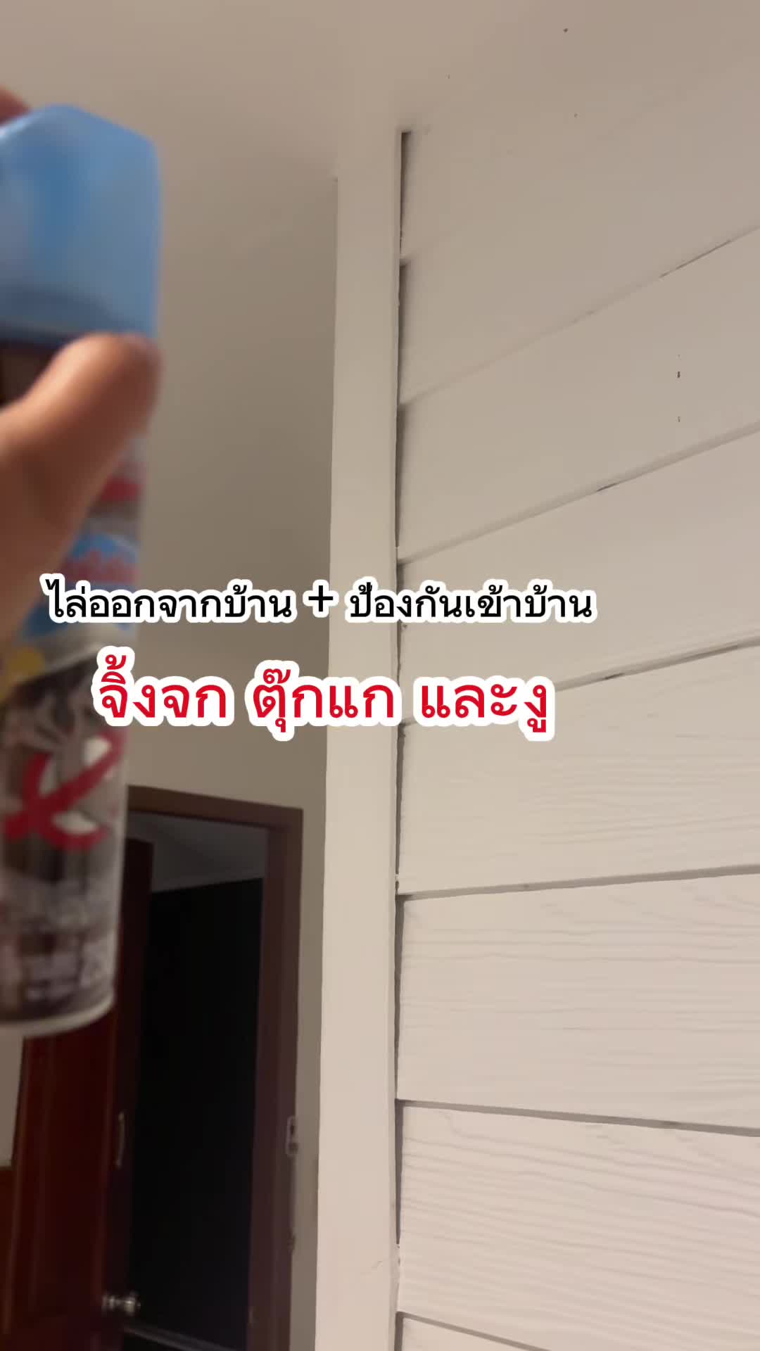 สเปรย์ไล่จิ้งจก ตุ๊กแก และสัตว์ลิ้นสองแฉก เช่น งู ขวดนี้ใช้ดีมากกกกก ใช้ฉีดย้ำกลิ่นสัปดาห์ละครั้งไม่มีสัตว์พวกนี้กลับมาอีกเลย #วิธีกำจัดจิ้งจกในบ้าน #ไล่จิ้งจก #สเปรย์ไล่จิ้งจก #วิธีไล่จิ้งจก #วิธีไล่ตุ๊กแก #ไล่ตุ๊กแก #จิ้งจก #ตุ๊กแก #ถูกใจมง #ของมันต้องมี #ใช้ดีบอกต่อ   @ถูกใจมง แม่บ้านสายช็อป  @ถูกใจมง แม่บ้านสายช็อป  @ถูกใจมง แม่บ้านสายช็อป 