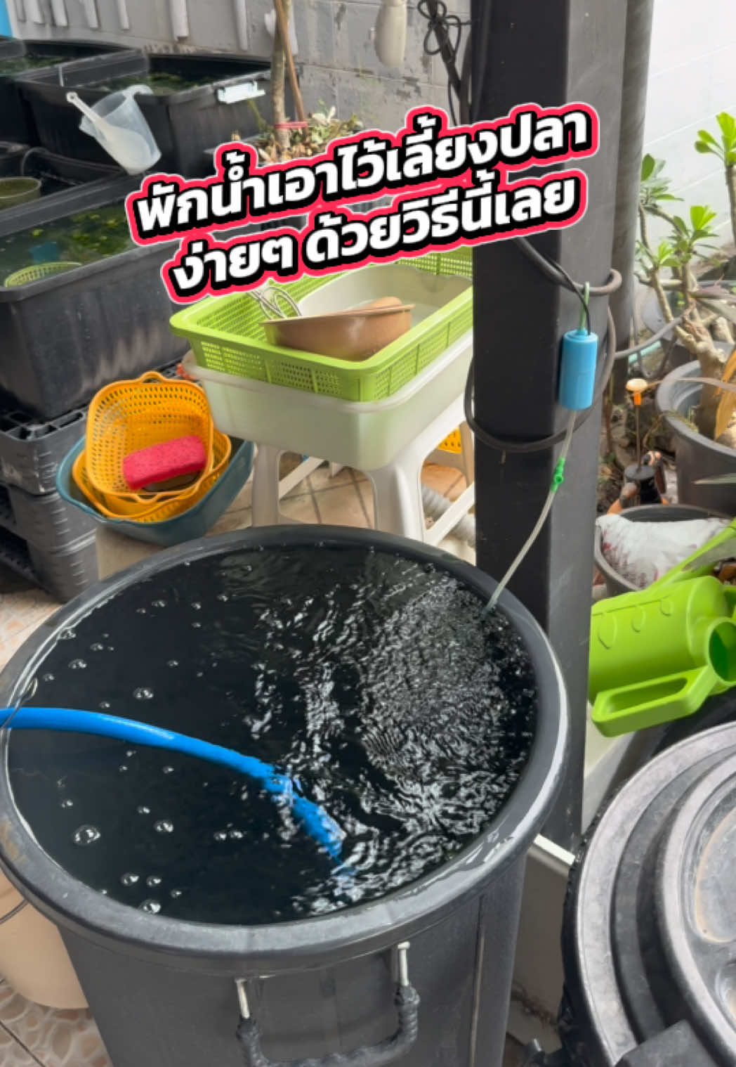 #ออกซิเจนปลา #ปั๊มลมusb #ปั้มลมพกพา #เลี้ยงปลา #ตกปลา #ปลาทอง #ปลาบอลลูน 