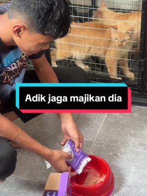 Bergitu la hari2 keje adik🫢