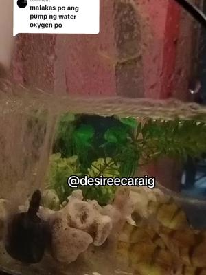 Replying to @chessterpogi  #tiktok #tiktokshop #affiliatemarketing #fyp #fy #oxygen #aquarium 