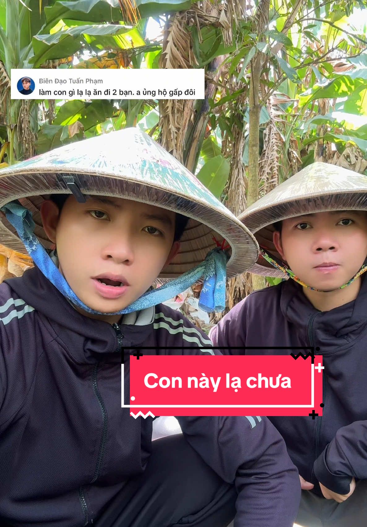 Con này đủ lạ chưa anh trai? #tubinhthachheo #2ababao #kemdsd 