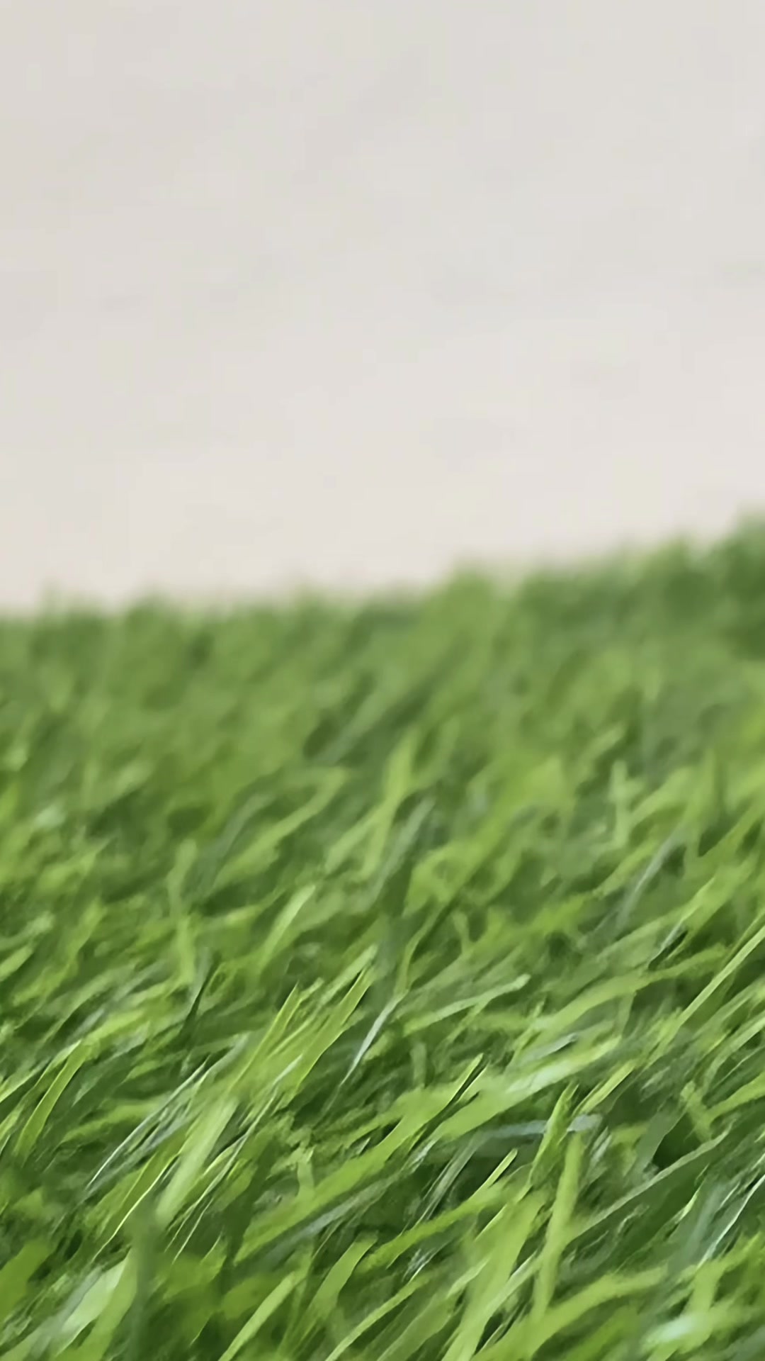 OJAI MINI SUPER SPICY 🌶️🤯