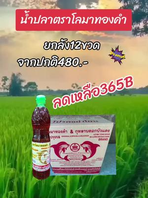 น้ำปลาตราโลมาทองคำยกลัง #น้ำปลา #น้ําปลาตราโลมาทองคํา #ปรุงรส #เปิดการมองเห็น 