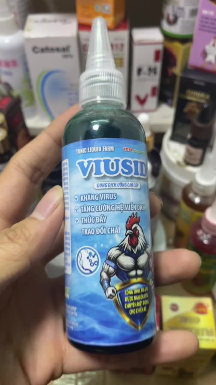 #ganoivietnam #gaviecnam #gà_chọi_việt_nam #gatrebactitvietnam #ganoivietnam🇻🇳 #gatrebactitvietnam #gachiendau #gachiendau 