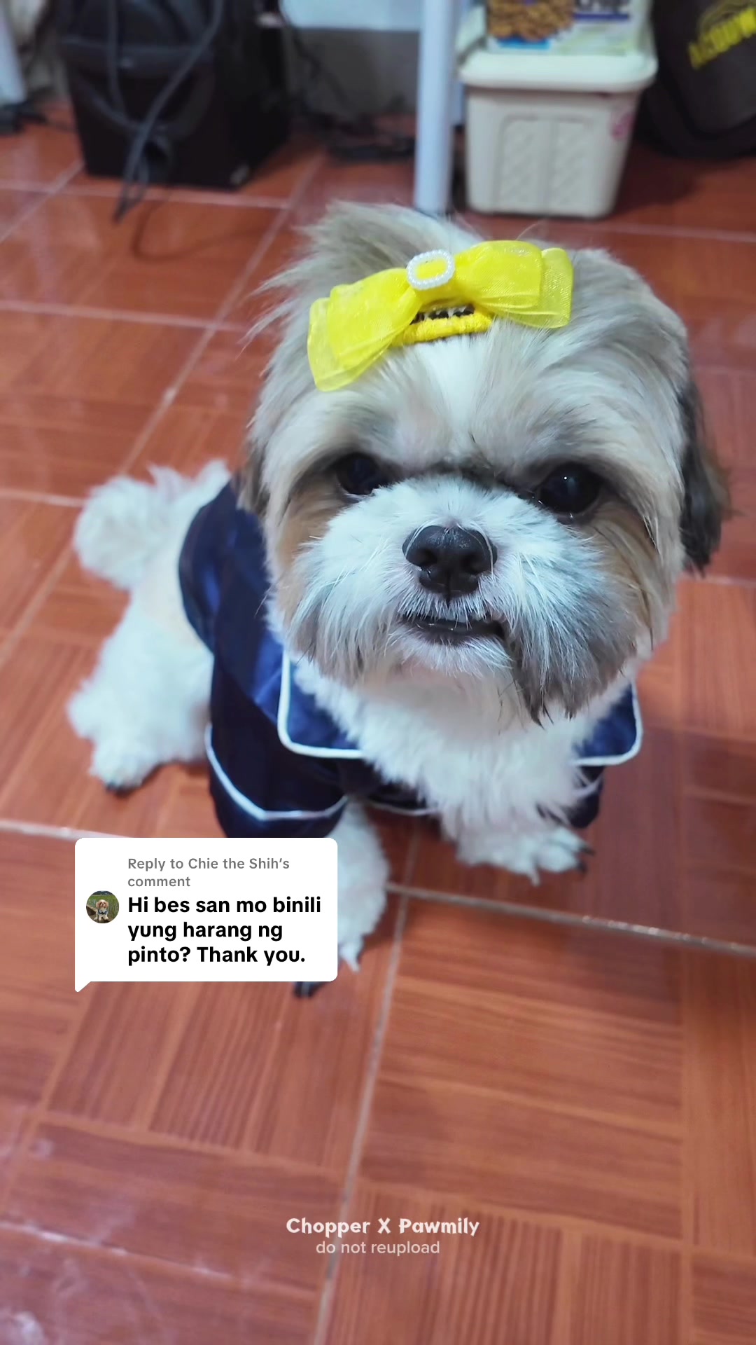 Replying to @Chie the Shih  Safety Gate para sa batuta at pwede din sa bata . Very matibay at worth it. Kaya ano gagawin? Try nyo na din 🐶🐾 #safetygate #dogsoftiktok 